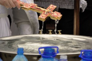 DSC00419